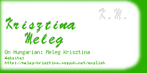 krisztina meleg business card